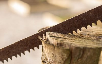Crafting Excellence: A Comprehensive Guide to Selecting the Perfect Saw for Your Woodworking Projects