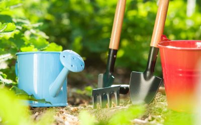 Cultivating Green Paradise: The 10 Must-Have Gardening Tools for Every Gardener